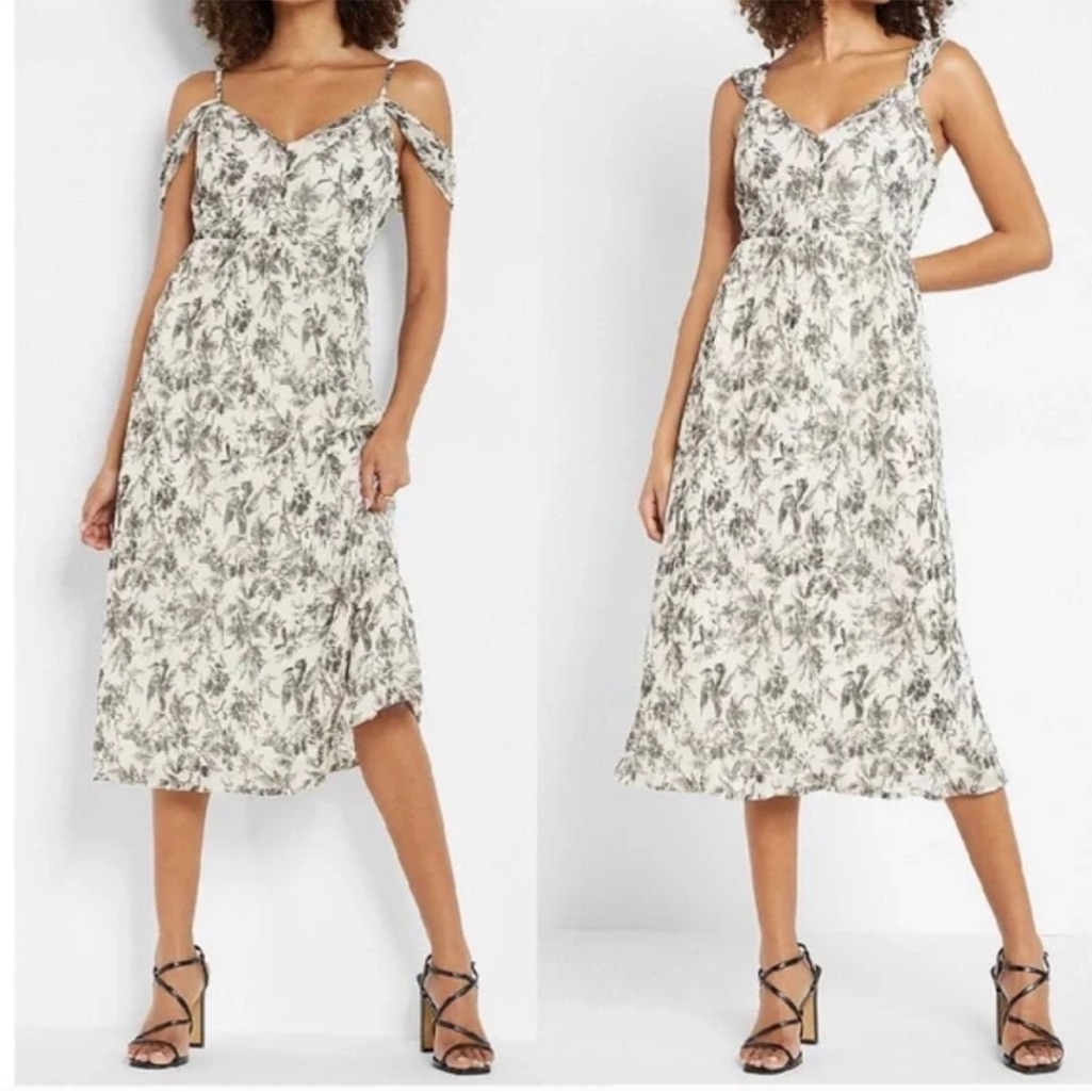 Beautiful Express Chiffon Dress Size Xs